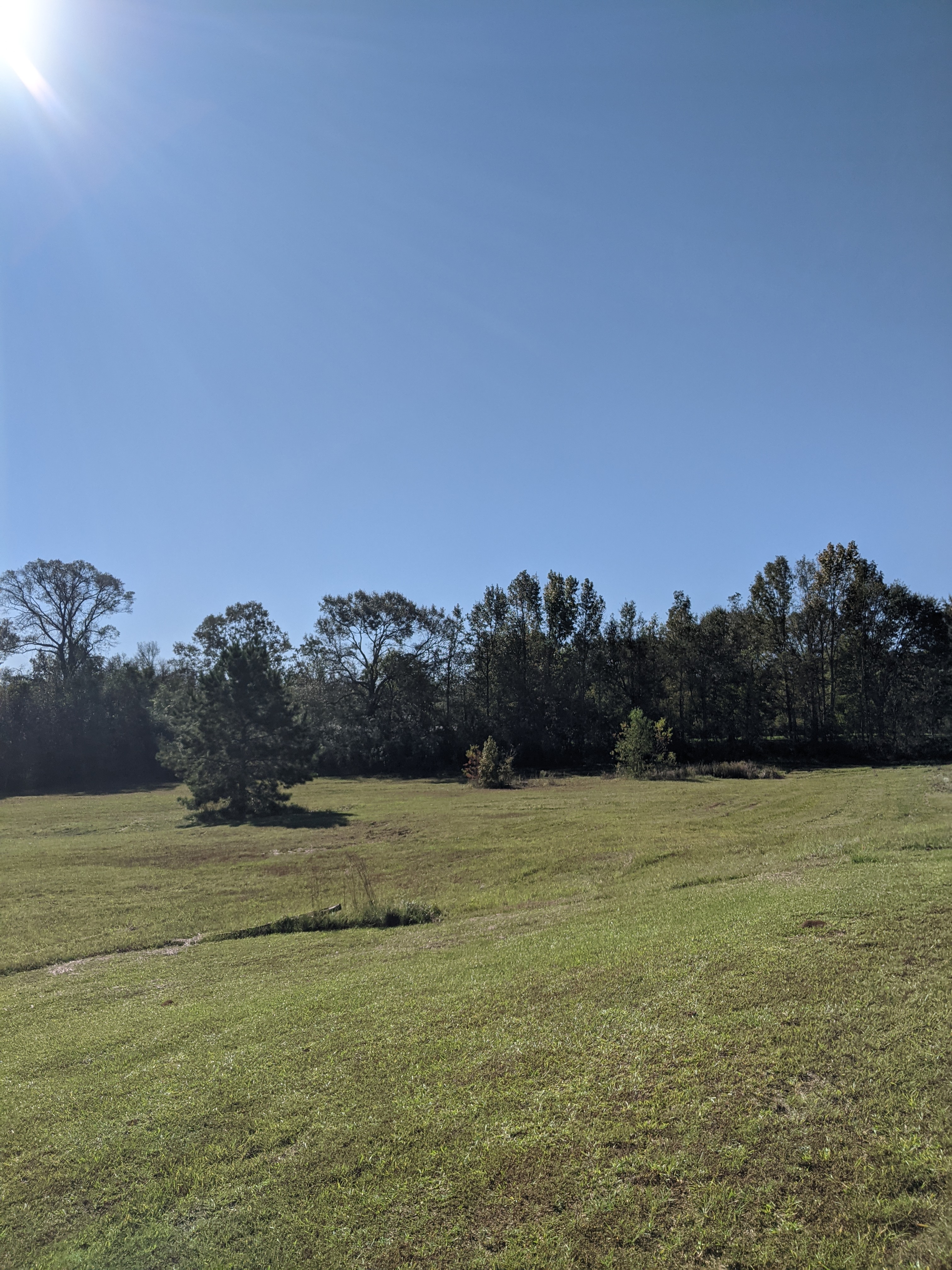 4.54 Acres Vacant Land,  Mixed Use, Residential and/or Commercial